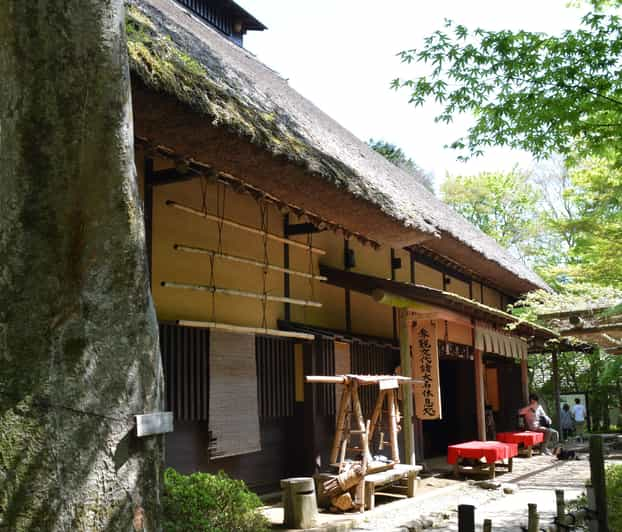 Hakone Geology & History Tour - Tour Overview