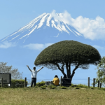 Hakone Hachiri: Old Tokaido Highway Hiking Tour Tour Details