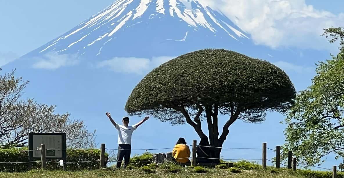 Hakone Hachiri: Old Tokaido Highway Hiking Tour - Highlights