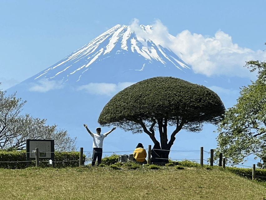 Hakone Hachiri: Old Tokaido Highway Hiking Tour - Tour Details