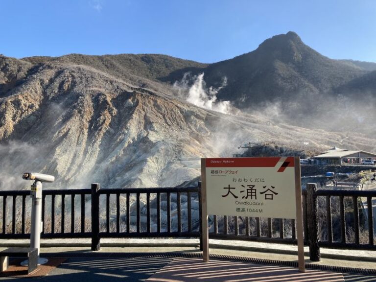 Hakone: Train Pass With Unlimited Rides & Activity Discounts