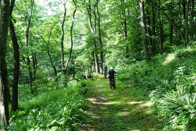 Half Day E-Bike Adventure Tour in Nagano