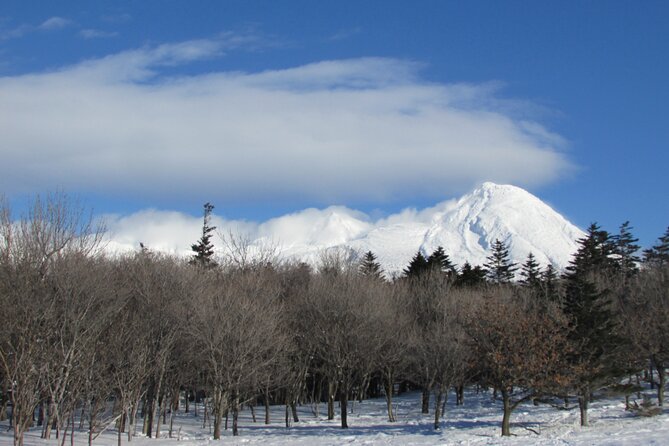 Half-Day Primeval Forest Snowshoe and Wildlife Watching Tour