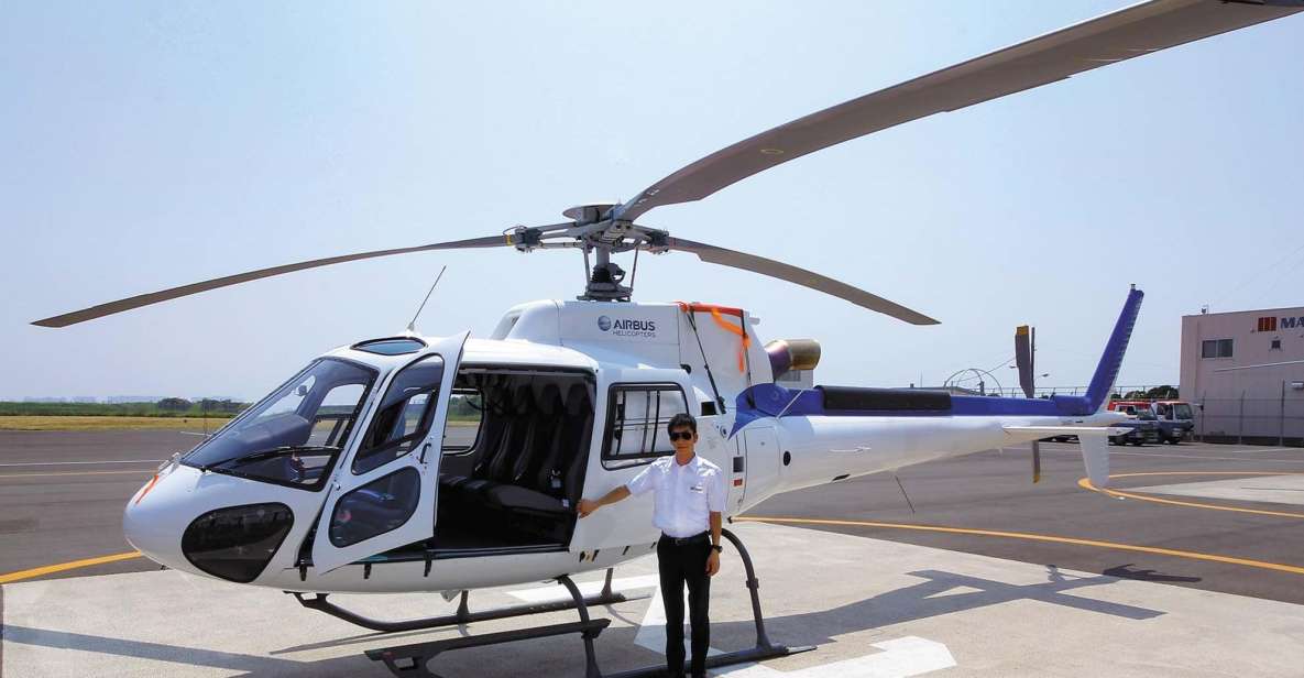 Helicopter Shuttle Service Between Narita and Tokyo - Service Details