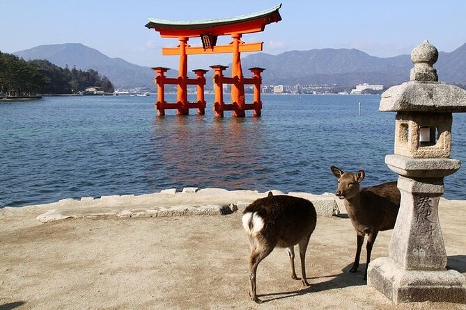 Hiroshima and Miyajima 1 Day Tour From Kyoto or Osaka