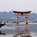 Hiroshima Custom Private Walking Tour With Licensed Guide (/h) Tour Overview