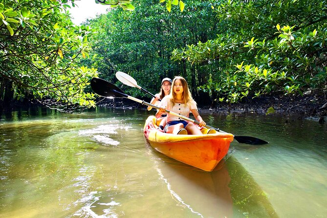 Iriomote Stand-Up Paddling (SUP)/Canoeing in a World Heritage Site & Limestone Cave Exploration