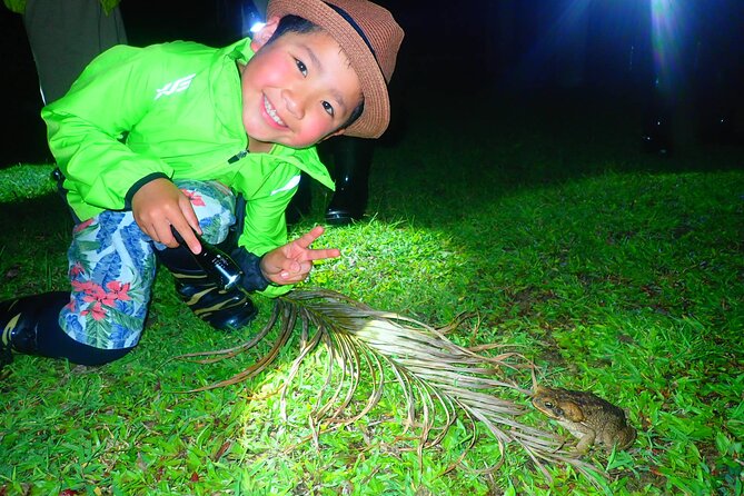 Ishigaki Night Jungle Tour