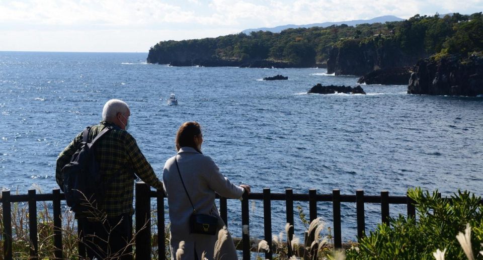 Izu Peninsula: Jogasaki Coast Experience - Experience the Jogasaki Coast Beauty