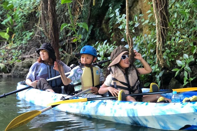 Kadena Mangrove Kayak Tour 2024 – Kadena Town