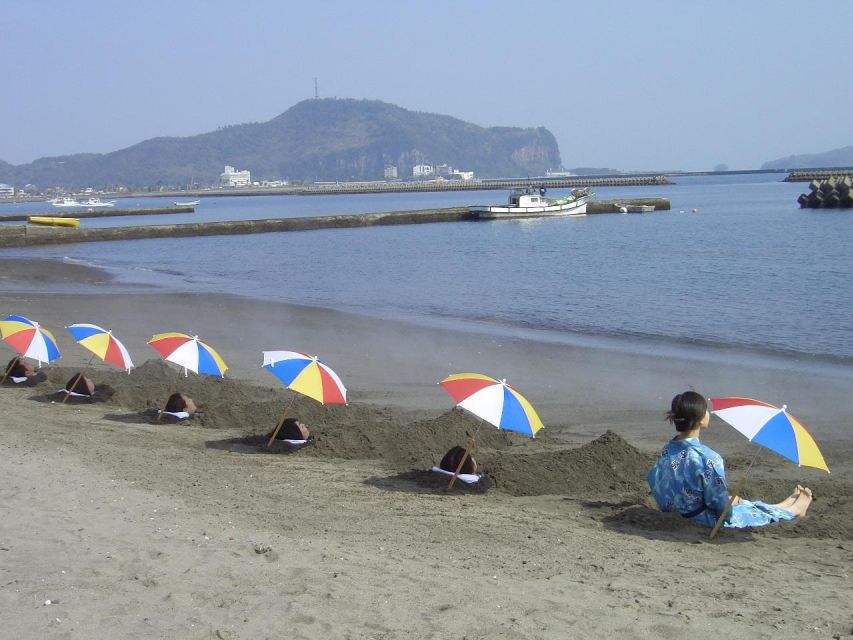 Kagoshima: Samurai History and Hot Sand Baths Private Tour - Tour Details