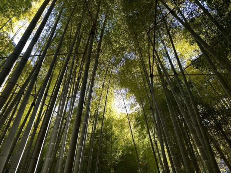 Kamakura: Cycle Through Centuries