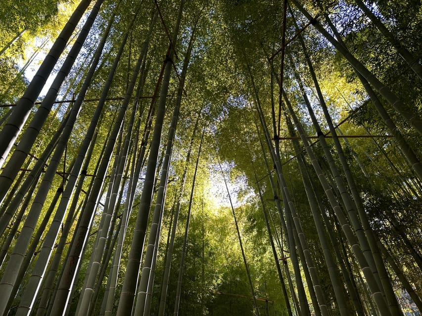 Kamakura: Cycle Through Centuries - Pricing and Duration