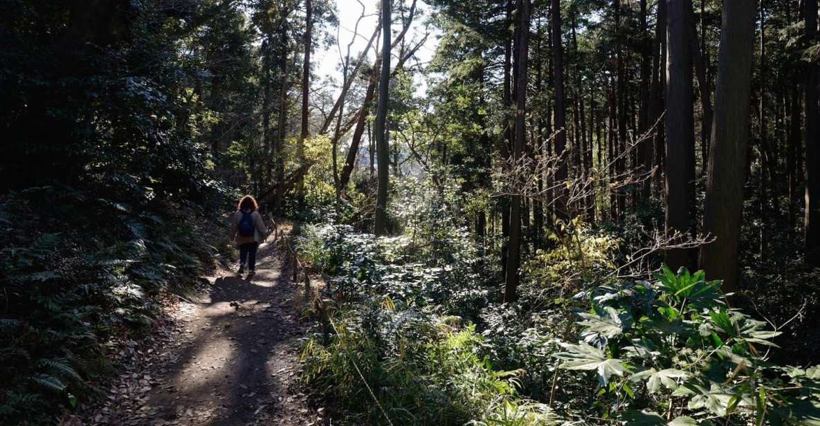 Kamakura: Daibutsu Hiking Trail Tour With Local Guide - Tour Details