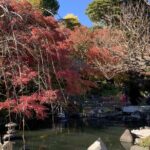 Kamakura Flower Tour Tour Highlights