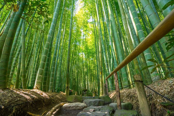 Kamakura Tour