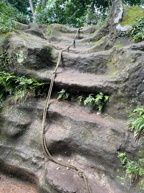 Kamakura: Zen Journey