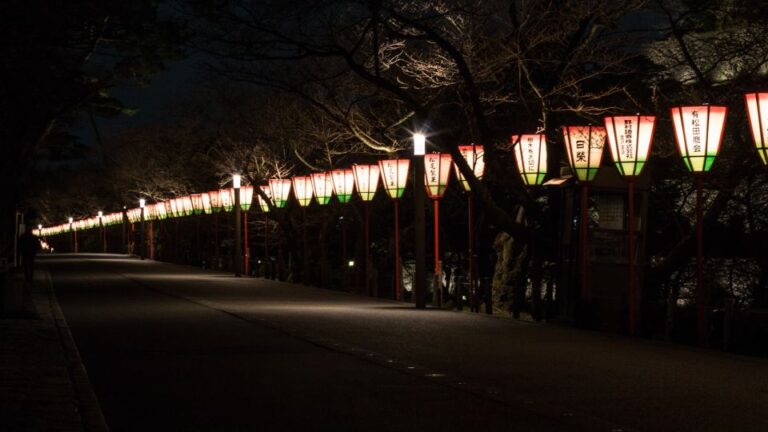 Kanazawa Night Tour With Full Course Meal