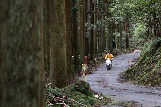 Kyoto Country Side Scooter Tour