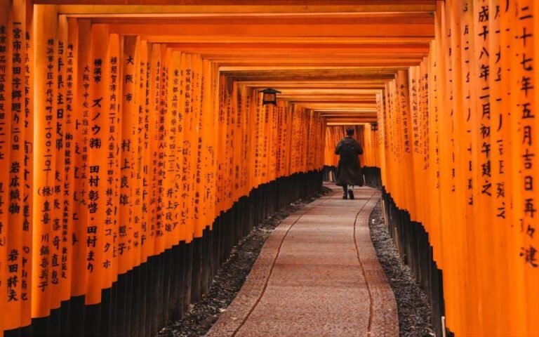 Kyoto: Customizable Private Tour With Hotel Transfers