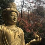 Kyoto: Descending Arashiyama (Private) Overview