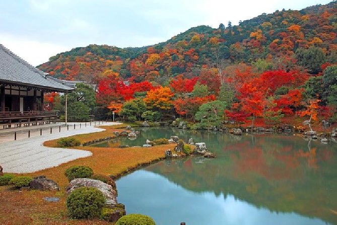 Kyoto Sagano Bamboo Grove & Arashiyama Walking Tour - Tour Highlights