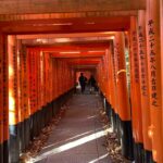 Kyoto: The Best of Kyoto Half Day Private Tour Highlights of the Half Day Tour