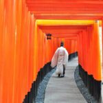 Kyoto Top Highlights Full Day Trip From Osaka/Kyoto Key Highlights