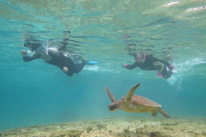 [Miyakojima Snorkel] Private Tour From 2 People Lets Look for Sea Turtles! Snorkel Tour That Can Be - Tour Highlights