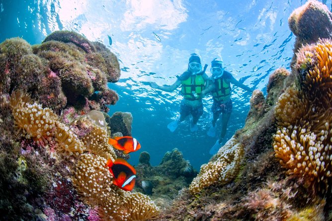 Miyakojima / Snorkel Tour to Enjoy Coral and Fish - Meeting and Pickup Details