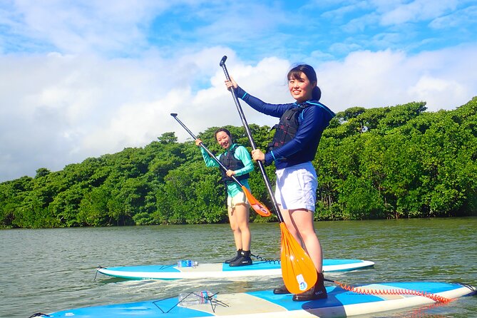 Miyara River 90-Minute Small-Group SUP or Canoe Tour 2024 – Ishigaki