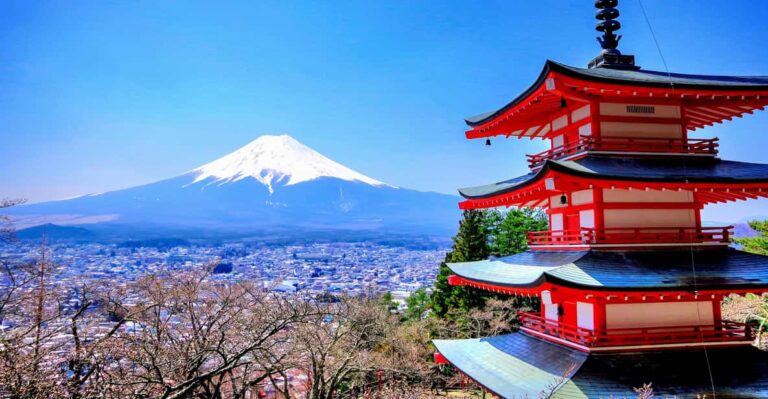 Mount Fuji and Hakone Full Day Private Tour