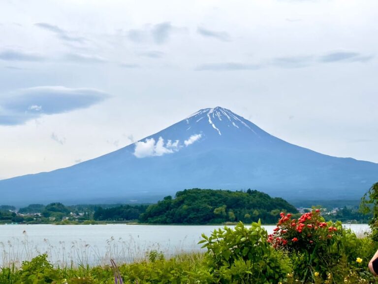 Mount Fuji Hakone With English-Speaking Guide