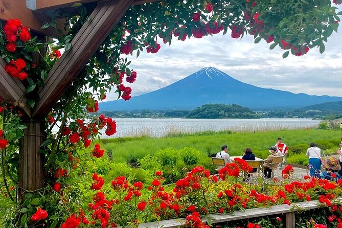 Mount Fuji Private Day Tour With English Speaking Driver - Tour Overview