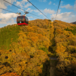 Mt.Fuji and Hakone Tour Tour Details