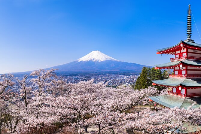 Mt.Fuji and Hakone Tour