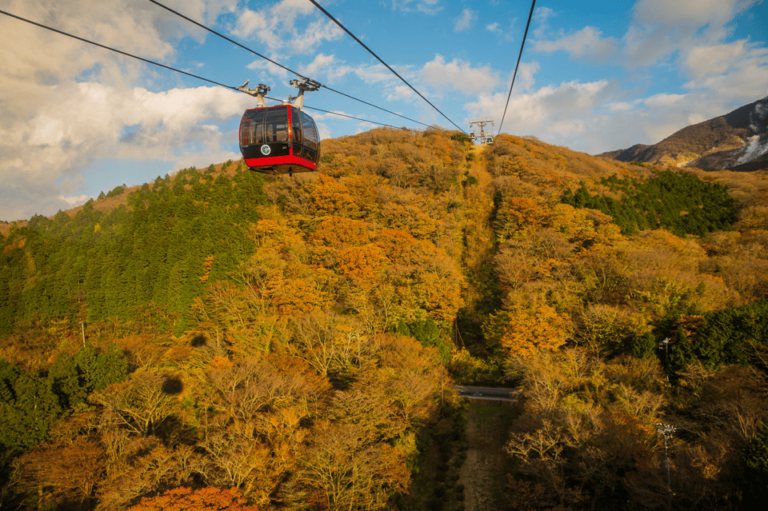 Mt.Fuji and Hakone Tour