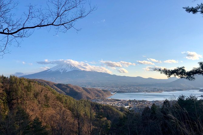 Mt Fuji Area Private Guided Tours in English-Nature up Close, Quiet, Personal