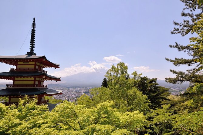 Mt Fuji Day Trip From Tokyo by Car With Photographer Guide - Inclusions and Services