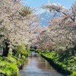 Mt. Fuji, Hakone Full Day Private Tour With English Driver Guide Flexible Cancellation Policy