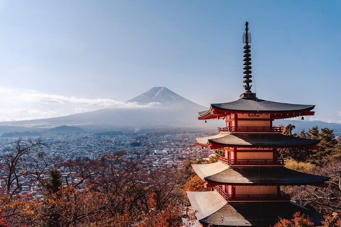 Mt Fuji, Hakone Private Tour by Car With Pickup