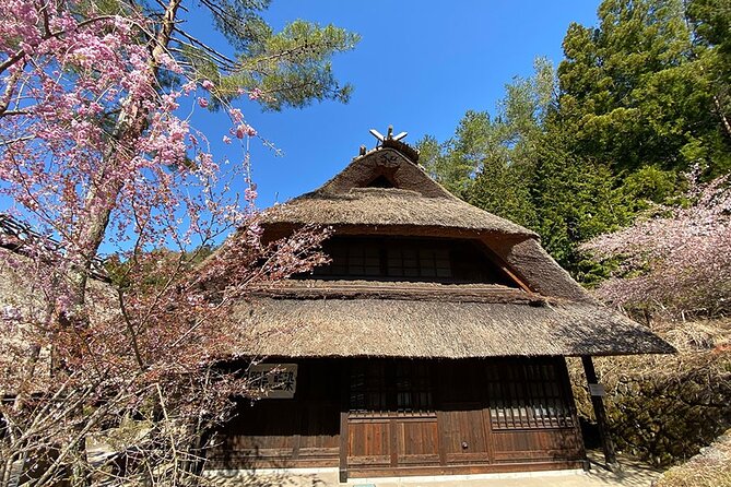 Mt Fuji Lakeshores Full-Day Bike Tour