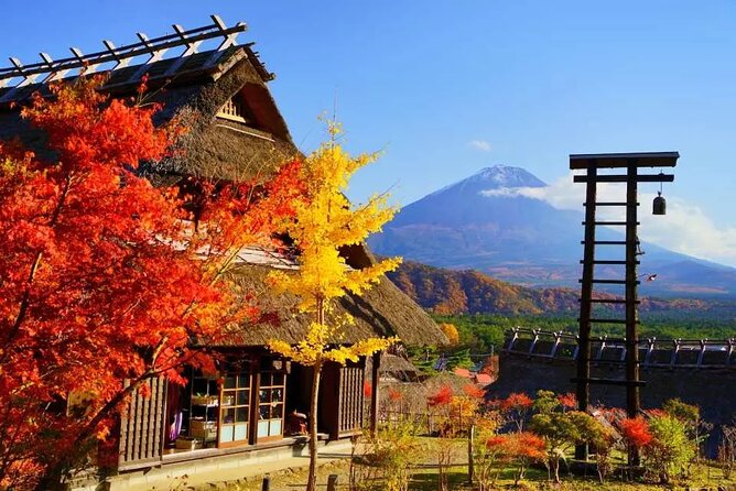 Mt. Fuji Majestic Tours : Shinjuku to Arakurayama and Beyond