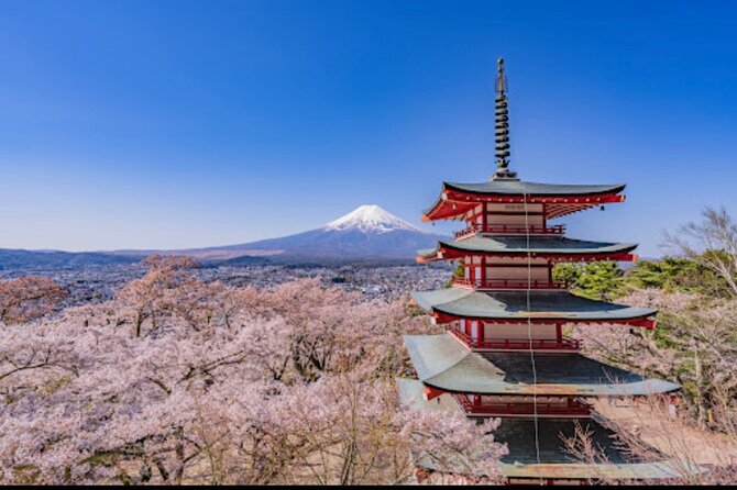 Mt. Fuji Private Sightseeing With Bilingual Chauffeur