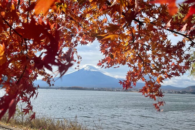 Mt. Fuji Private Tour With English Speaking Driver - Tour Overview and Activities