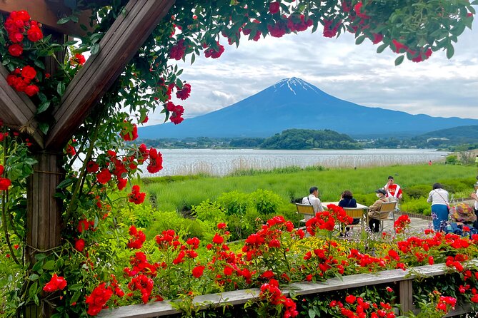 Mt Fuji Private Tour With English Speaking Driver - Traveler Reviews and Ratings