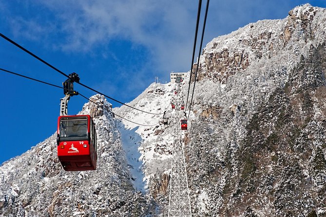 Mt. Gozaisho Ropeway,Nabana No Sato for Illumination and Begonia Garden!