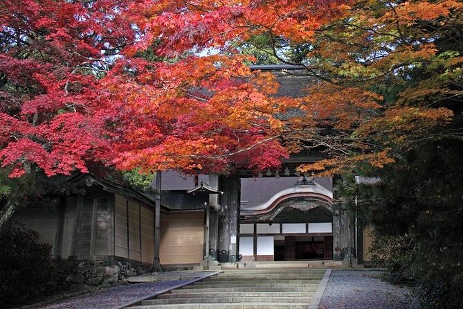 Mt Koya and Kumanokodo Walking 3 Day Tour From Osaka