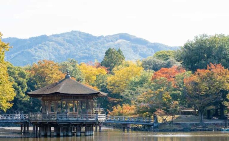 Nara: Private City Tour With A Local Guide