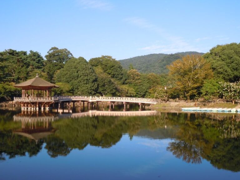 Nara: Todai-Ji and Nara Park (Guía En Español)